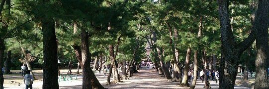 祖国さん_保守党支持者はフォローしてこないでね😉's banner