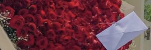 rosemarytel's profile banner image