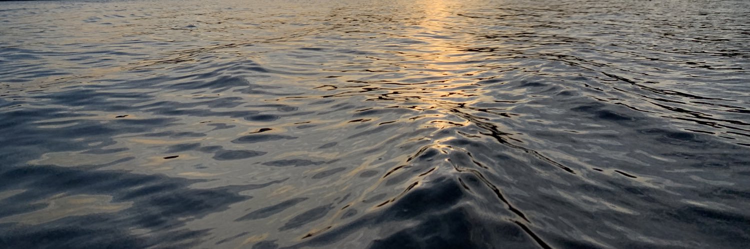 Toad 🍄🍉 banner