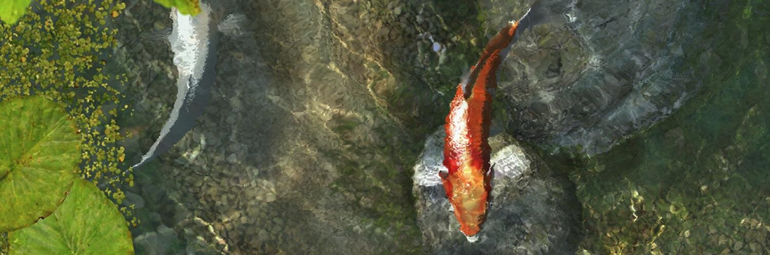 sbraiden's profile banner image