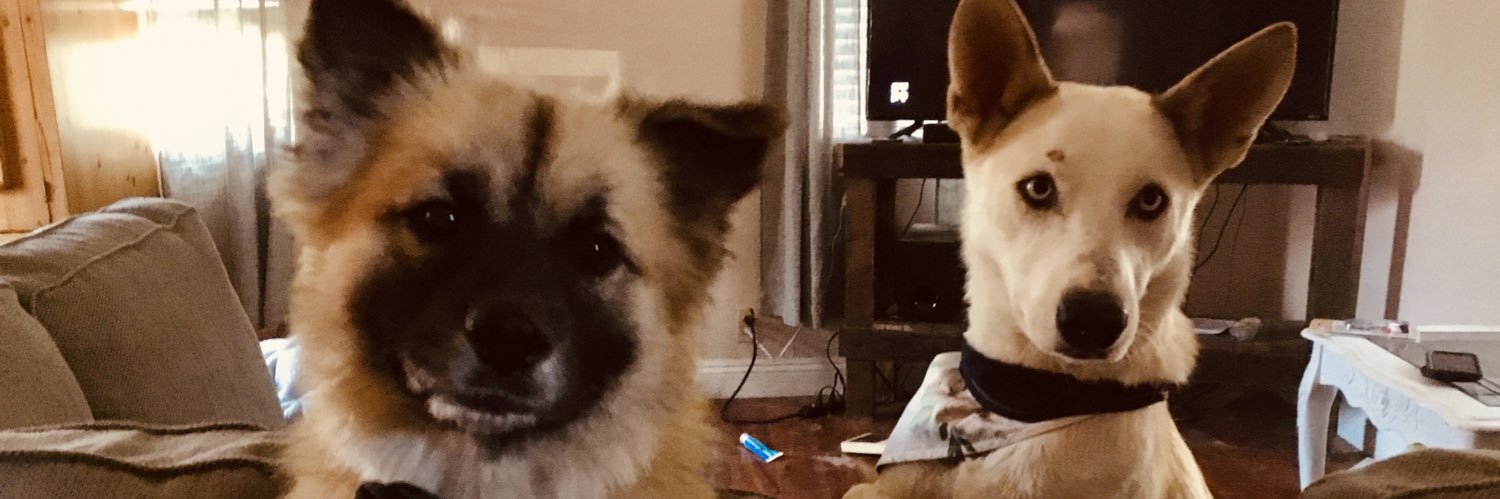 marissa bettencourt banner