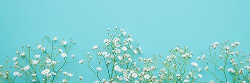 mi_0ru's profile banner image