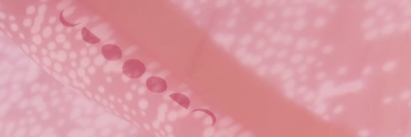 GLovelinus's profile banner image