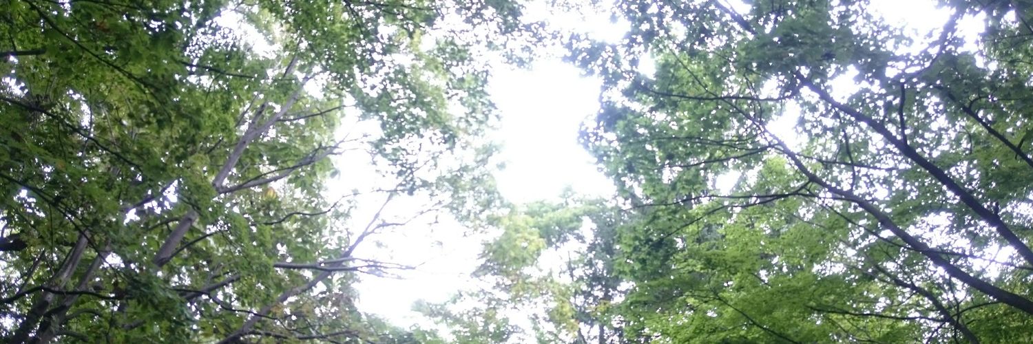 nobepantsu's profile banner image