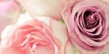 ElaHelasni's profile banner image
