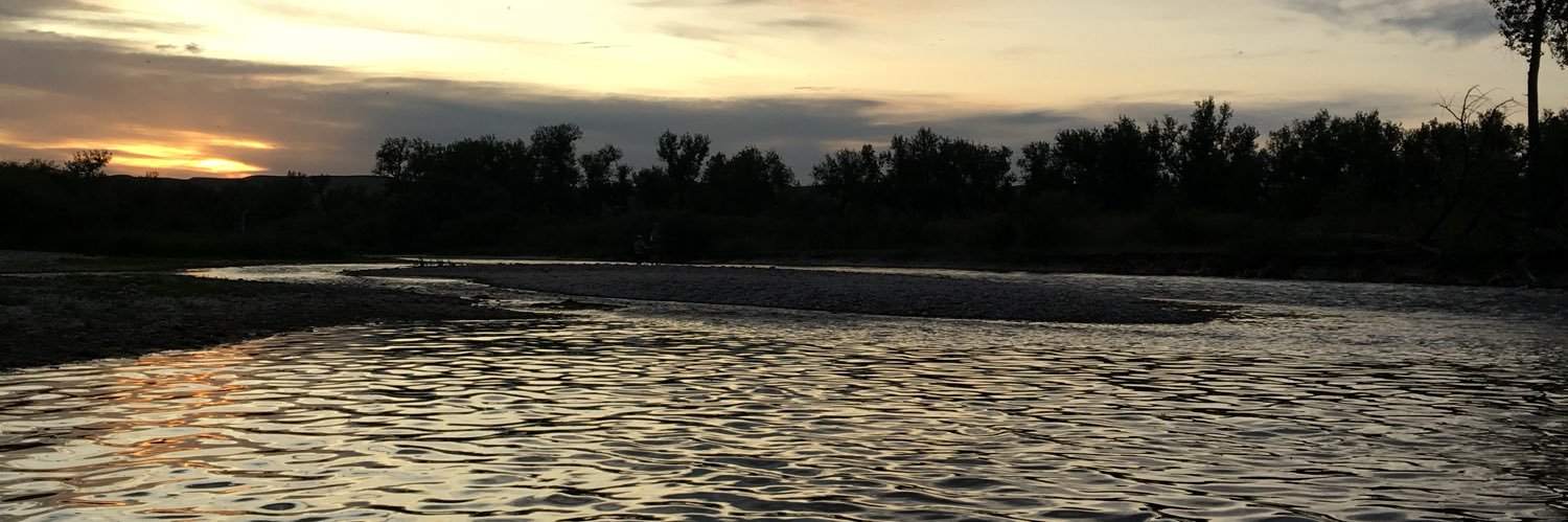 LimmerCody's profile banner image