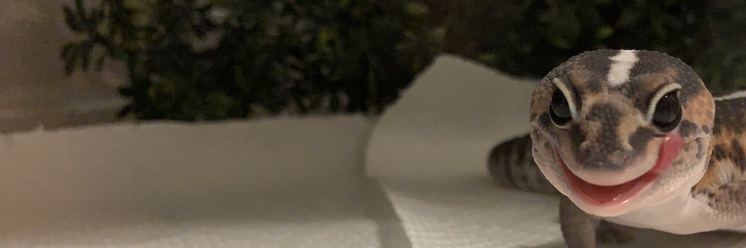 pappipu_'s profile banner image
