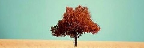 meewra's profile banner image