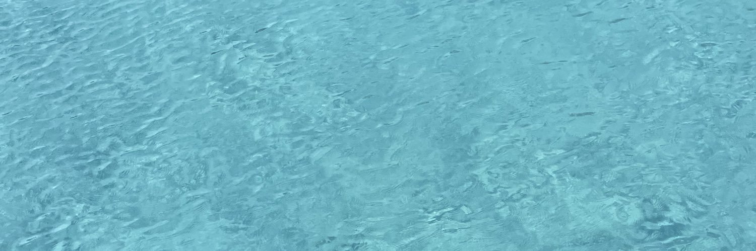 cryptobankDAO's profile banner image