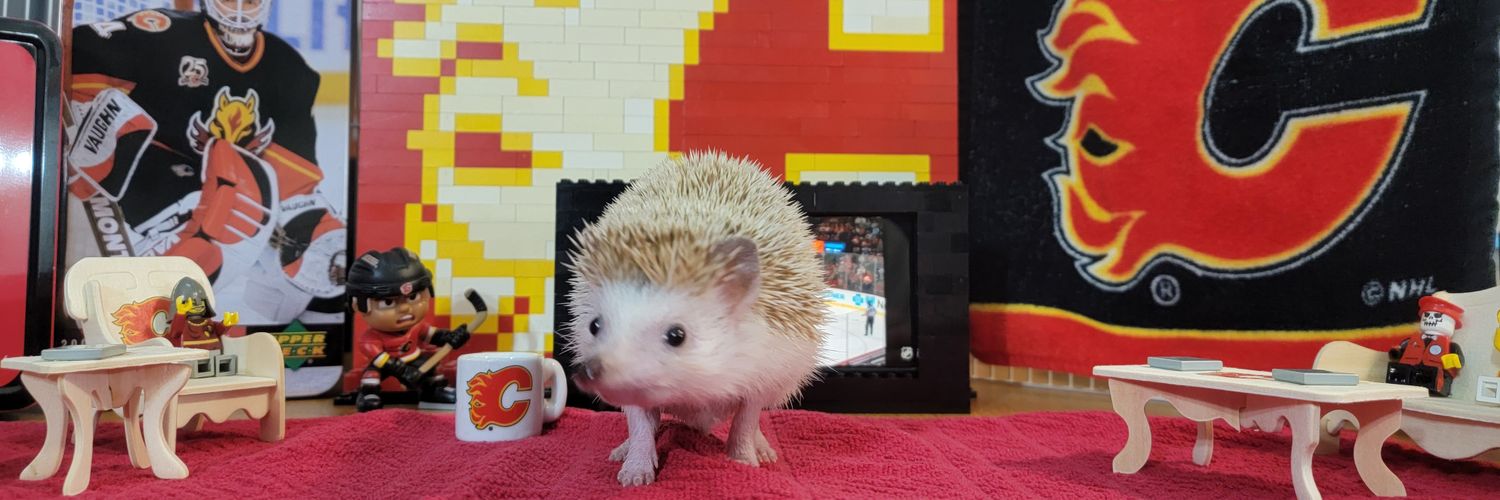 🔥🔥🔥FlamesFan403YYC🔥🔥🔥 banner