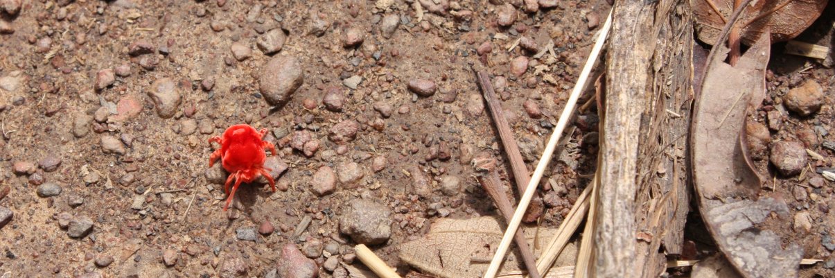 Markus Gildenhard 🤖🦟 banner