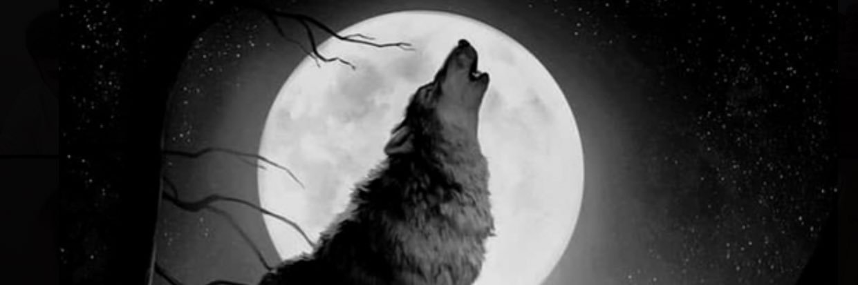 Liiit_'s profile banner image