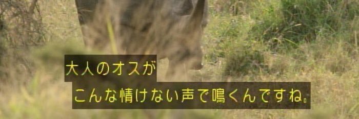 chinkyasu0504's profile banner image