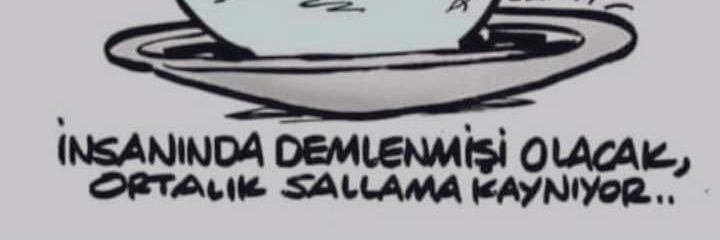 Aynur Karasoglu banner