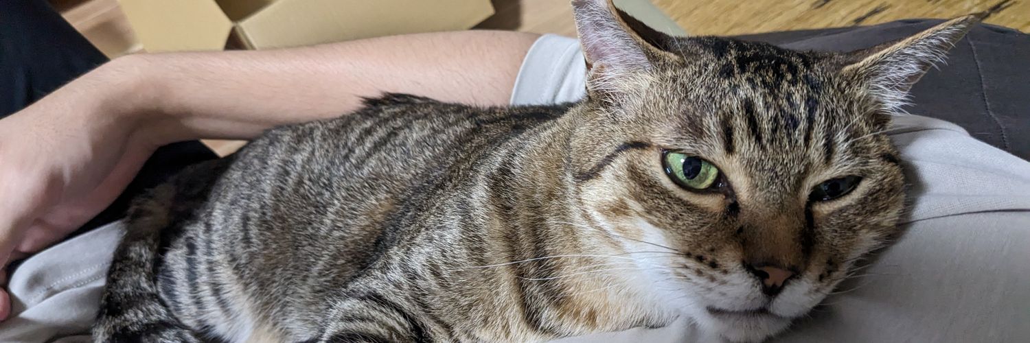 catteriaYs's profile banner image