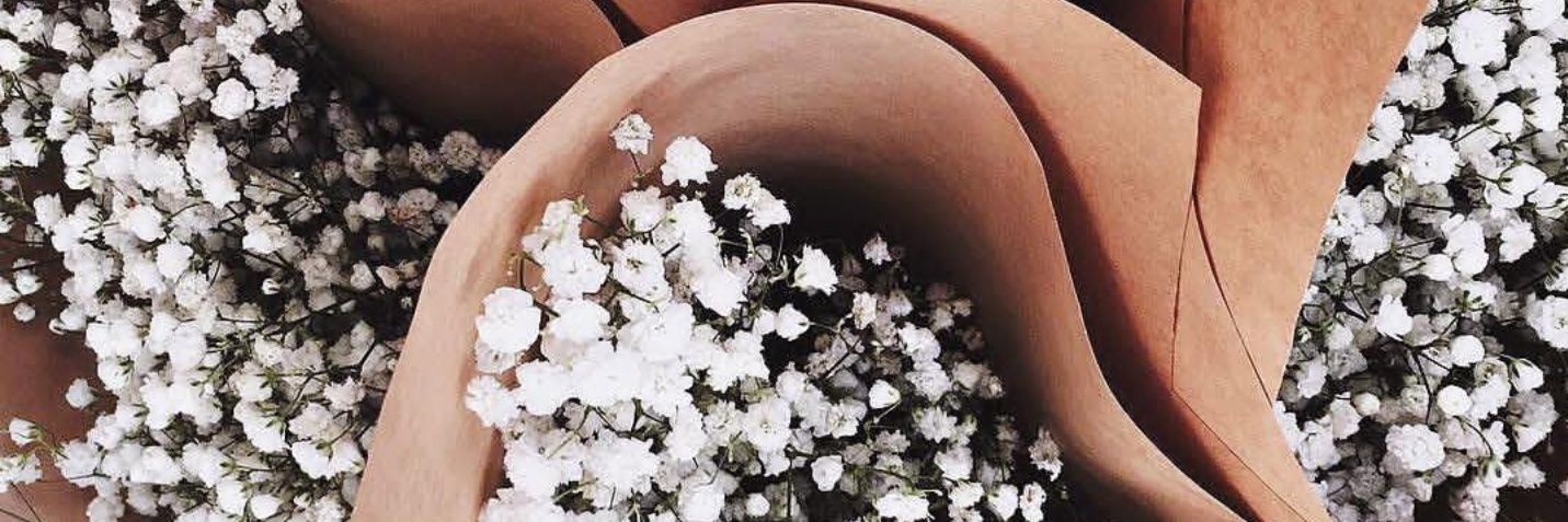 baby shaii🌹 banner