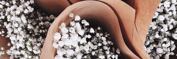 Shaii_Don Profile Banner