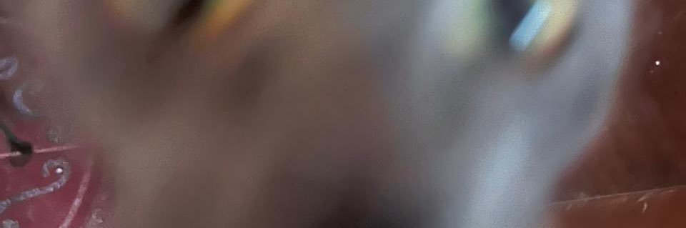 Émil banner