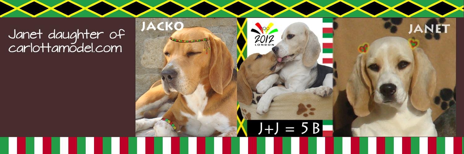 OneDogLove's profile banner image