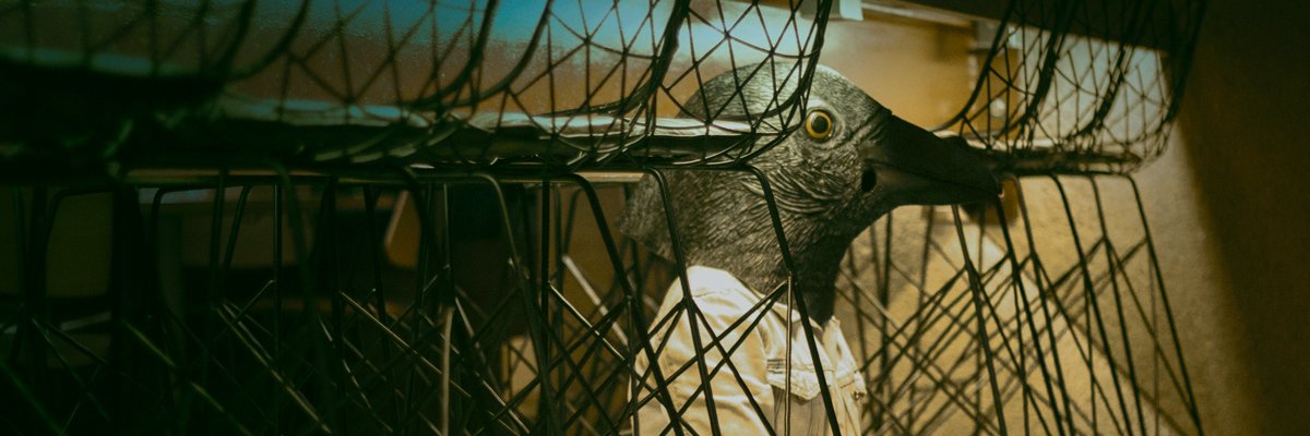 GilberFranco's profile banner image
