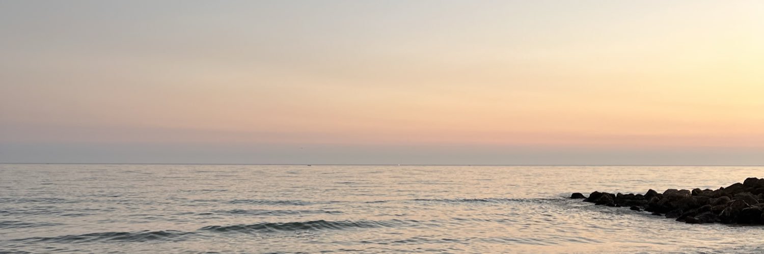 catarinaneto_'s profile banner image