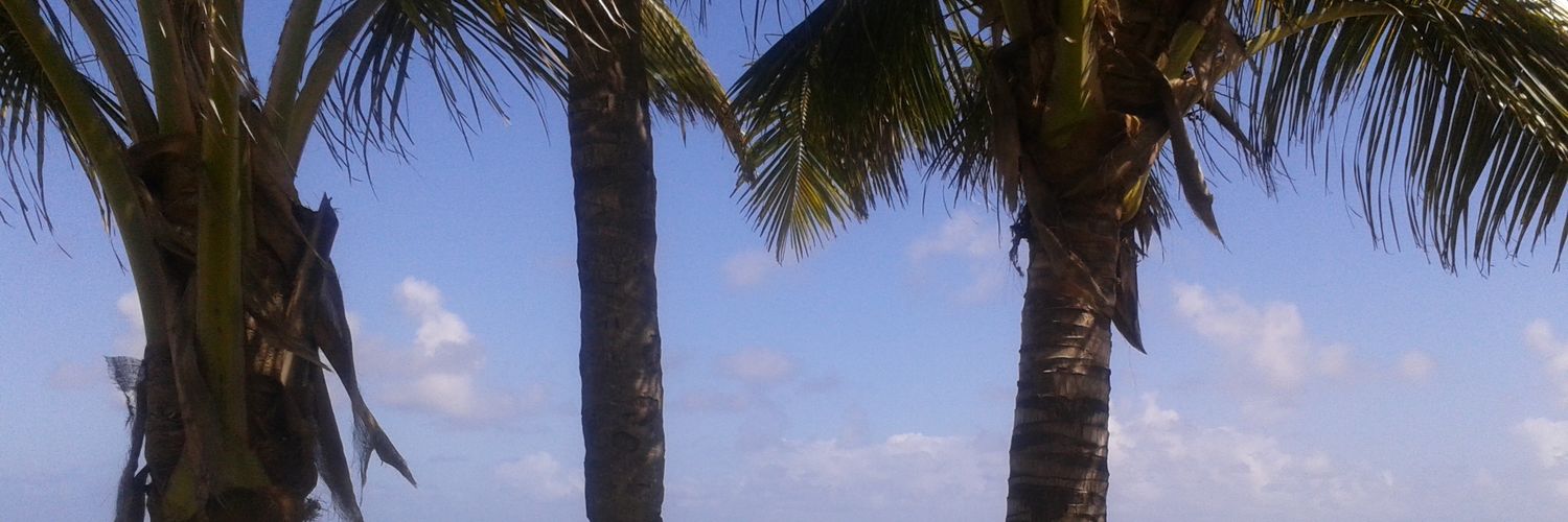 fox_brewer's profile banner image