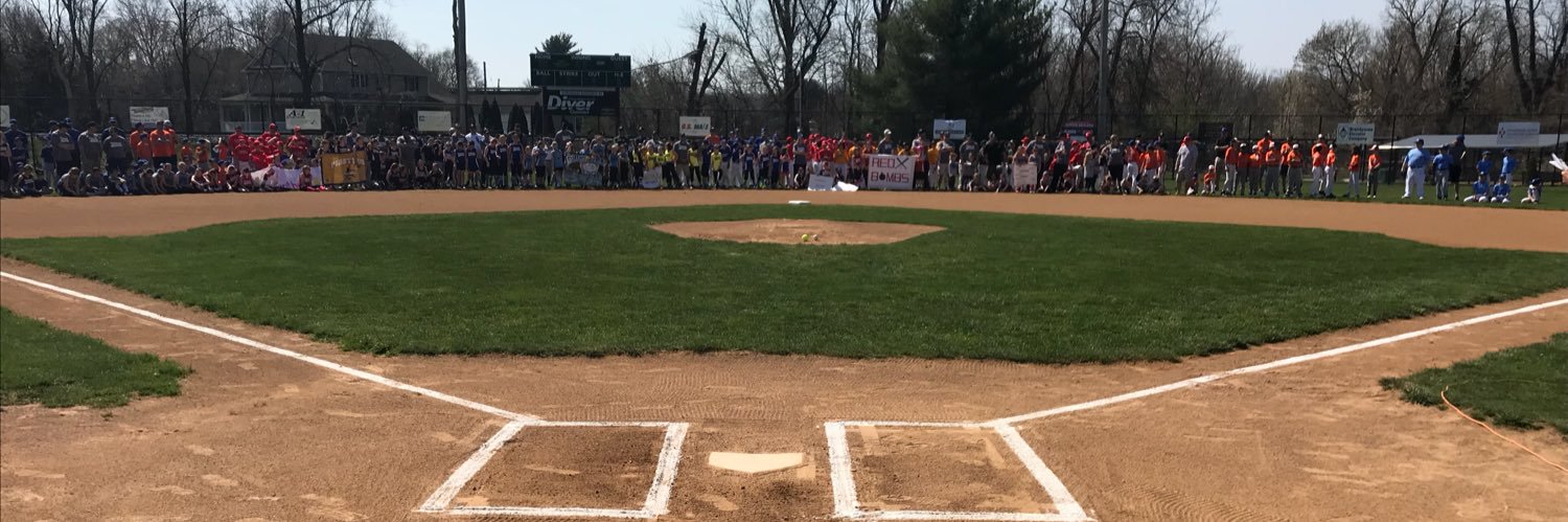 Piedmont Baseball banner