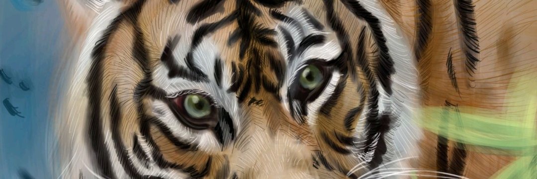 Steven_Avalos's profile banner image