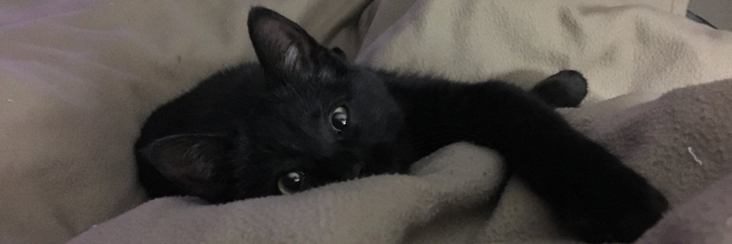 Leftlost's profile banner image