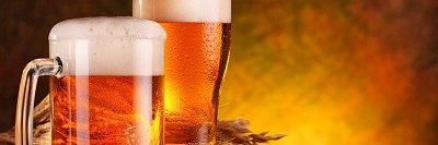 Cervecero Maestro banner
