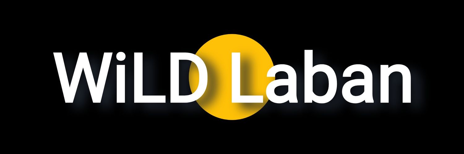 labanedward1's profile banner image