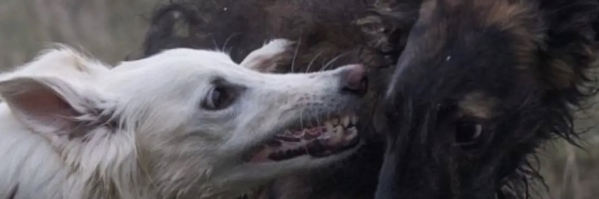 3 months on E Jane Wick banner