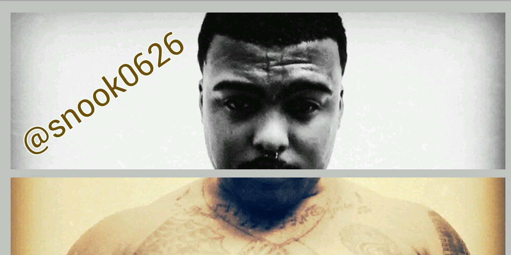 Snook The Crook banner