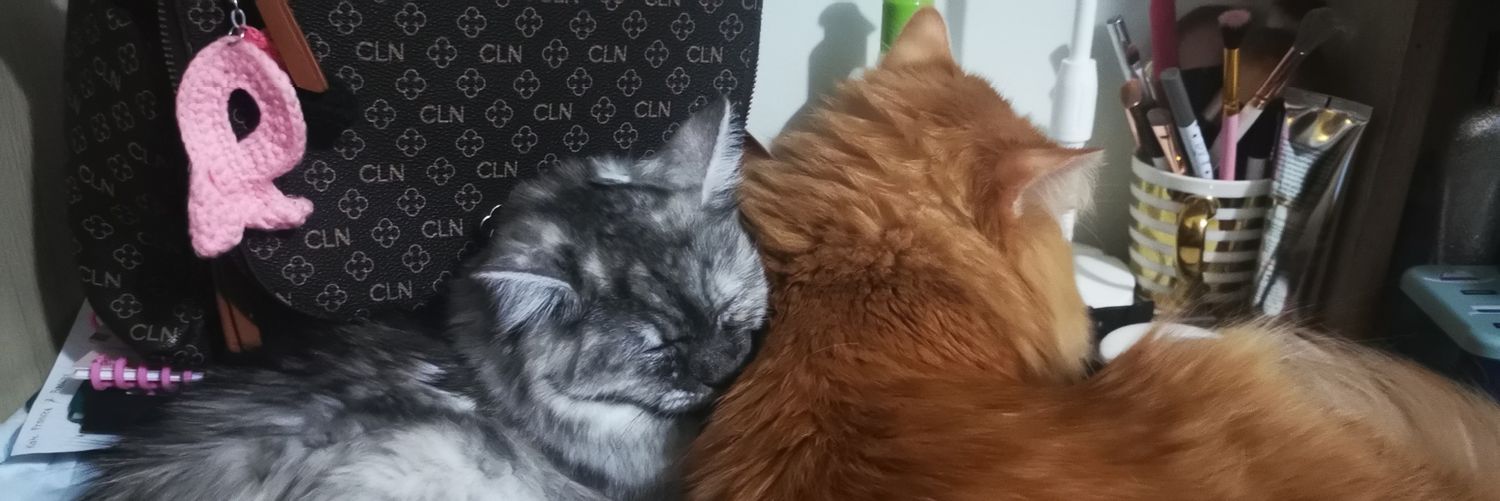 katttttkatttt's profile banner image