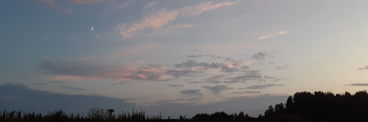 TomPolli's profile banner image