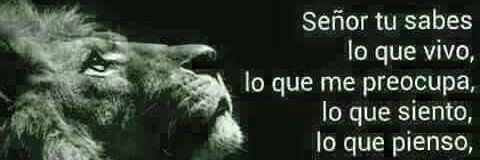 armando92223455's profile banner image