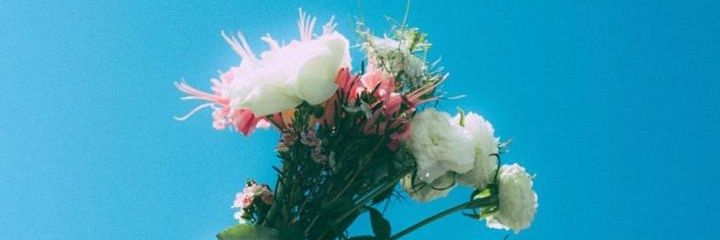 chacauu's profile banner image