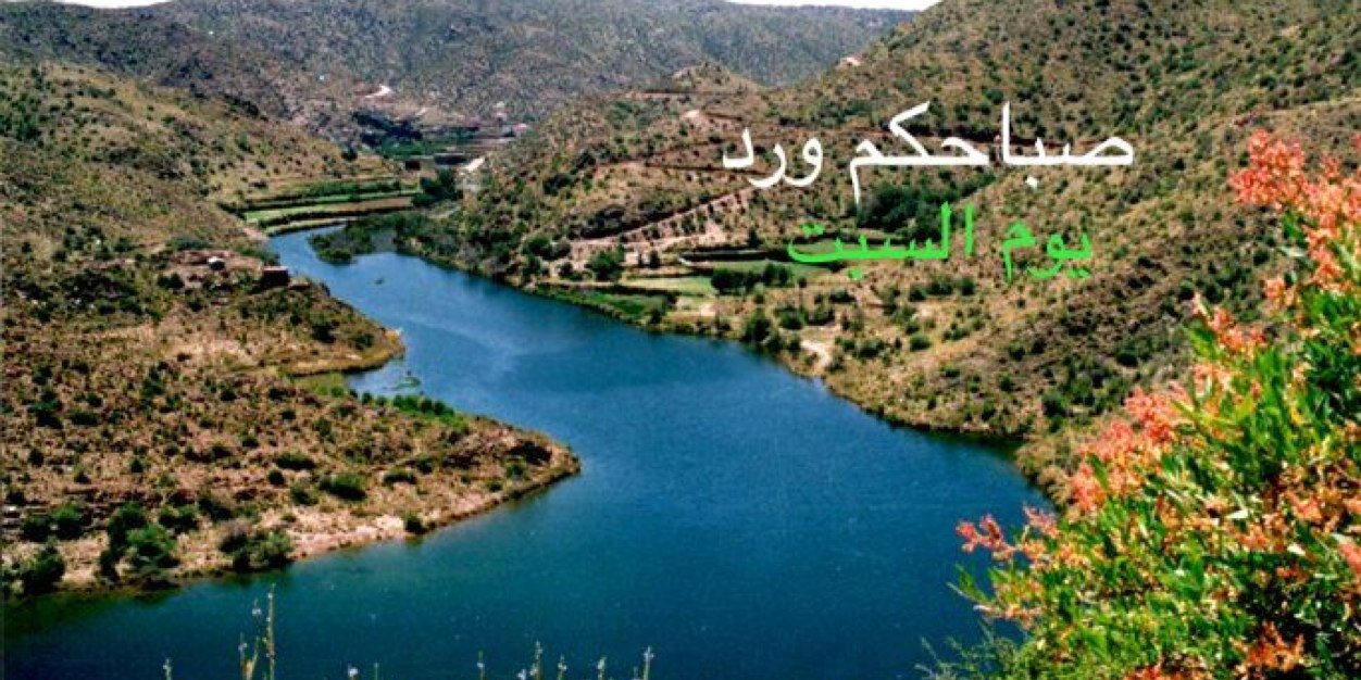 مغرد حُرّ banner