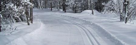abrski's profile banner image