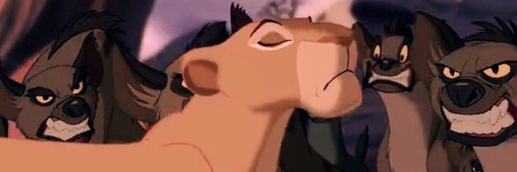 bessnva's profile banner image