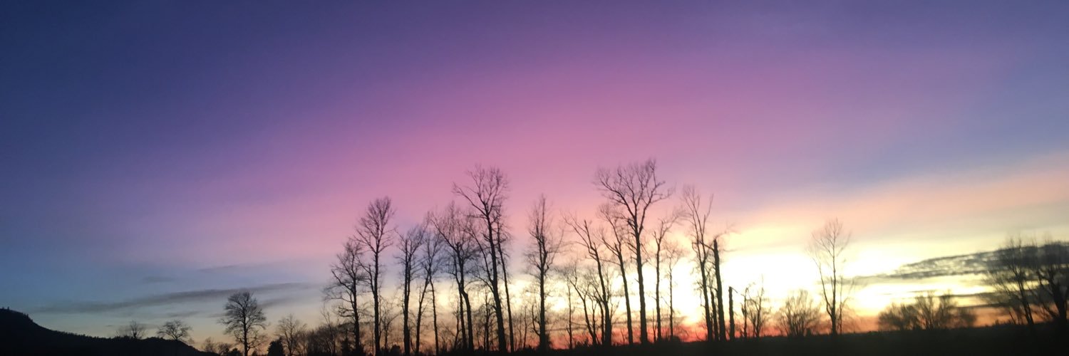 LindseySadar's profile banner image
