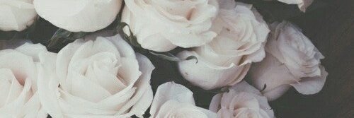 LauriSalinas's profile banner image