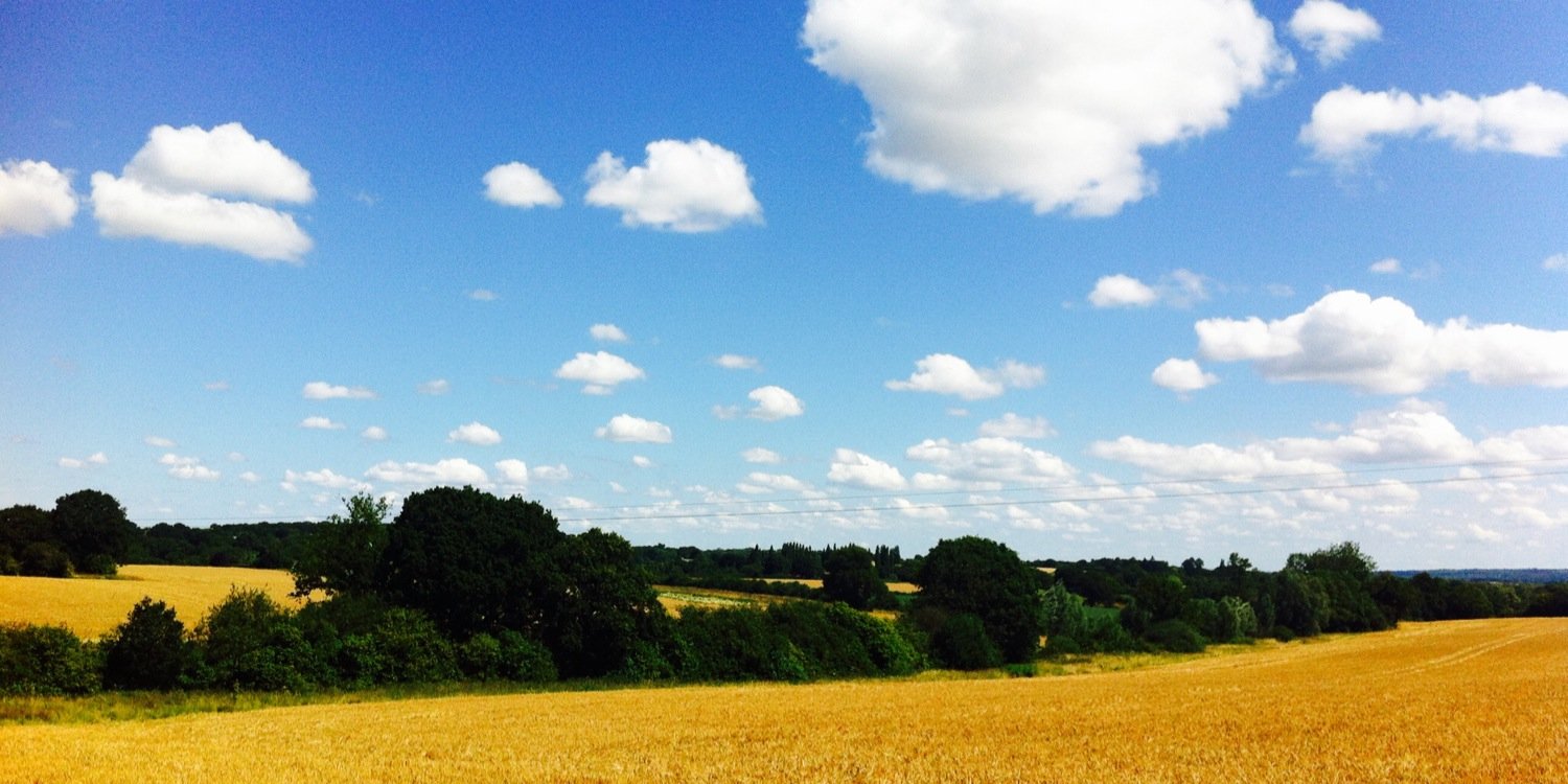 daddysheps's profile banner image