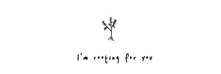 stevannyputri's profile banner image