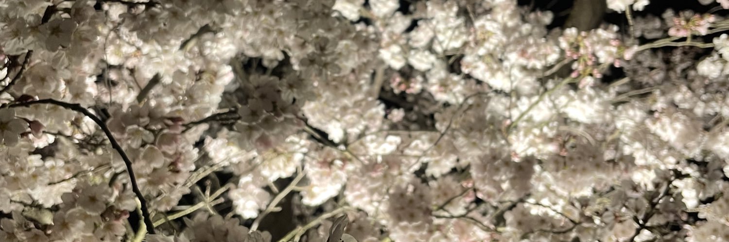celsbels's profile banner image