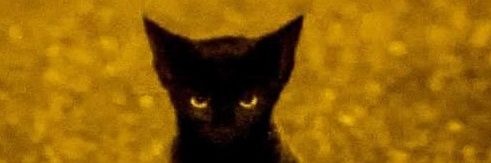sin_dovakin's profile banner image