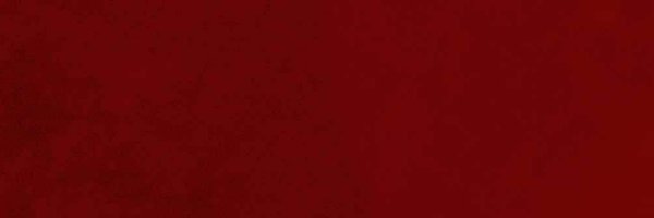 HallanBand Profile Banner