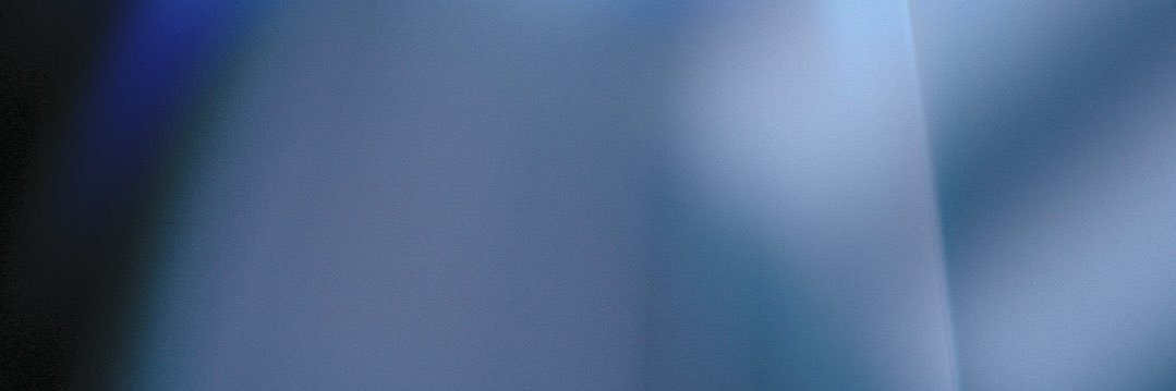 dnvie banner
