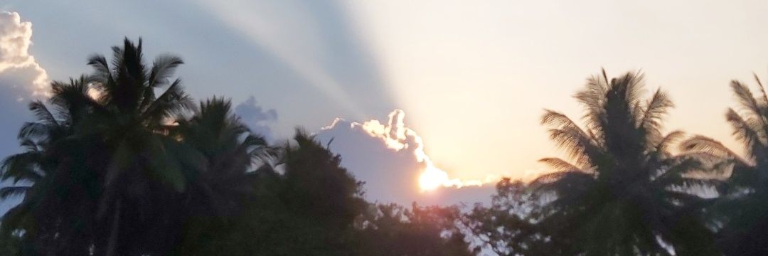 Insyafly Setiawan banner