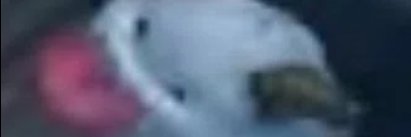 simon_kill's profile banner image